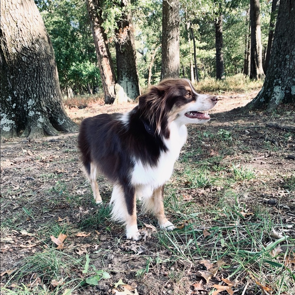 Meet your Posher, Monica